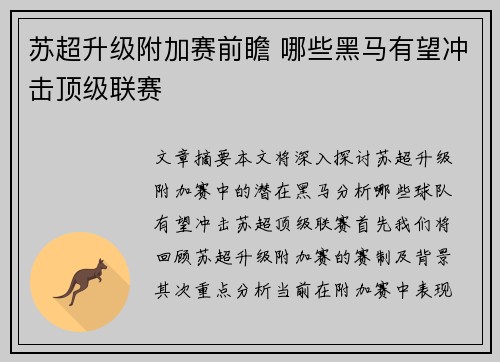 苏超升级附加赛前瞻 哪些黑马有望冲击顶级联赛